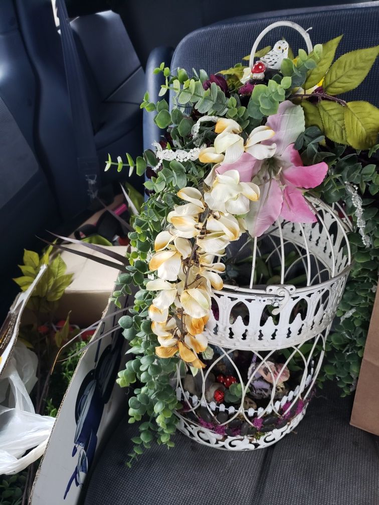 Fairy Gardens READ DETAILS