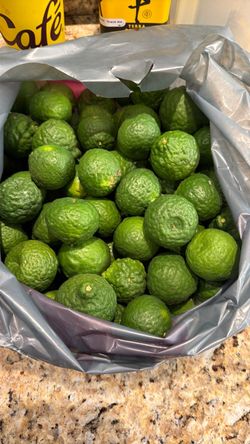 Free Organically grown Kaffir Limes