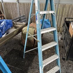 Werner 6’ Fiberglass Ladder 