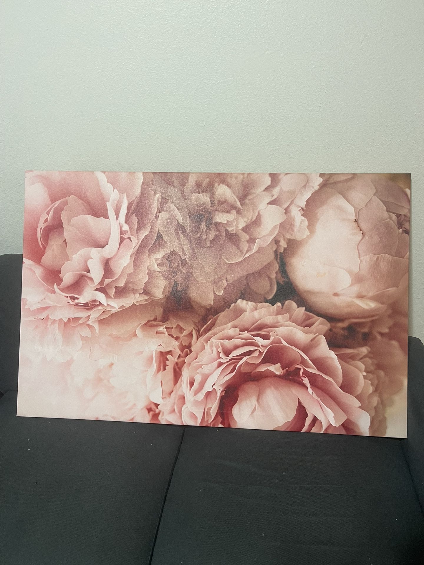 Peony Wall Art