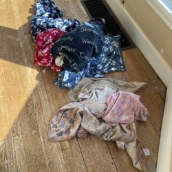 Free Dog Supplies - Pee Pads, Wipes, Onesie , Cone And Blankets 