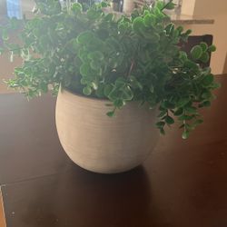 Decorative Artificial Plant For Sale