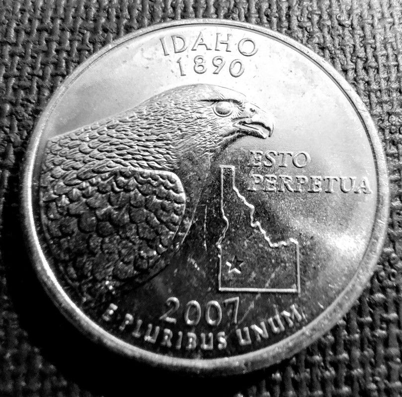2007-P Idaho State Quarter Uncirculated From US Mint Roll