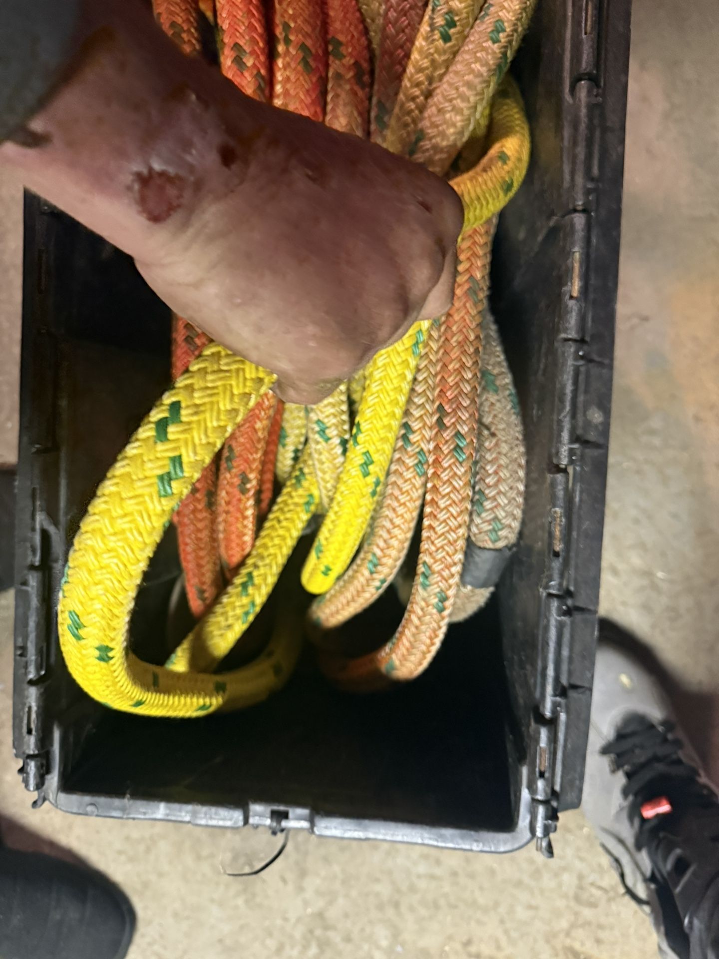 Tree Climbers Rope 250$