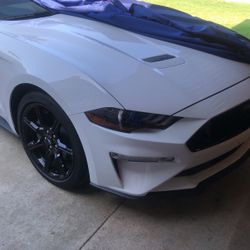 2020 Mustang GT Oxford White