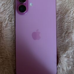iPhone 16 Plus