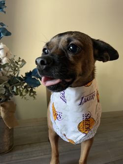 Sports Bandanas