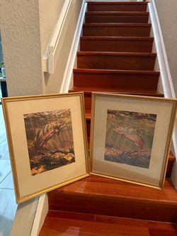 Pair of Framed Fish Art Prints