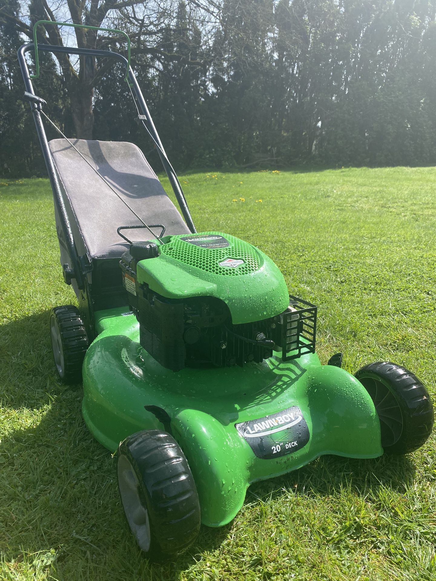 Lawn Boy Push Lawn Mower