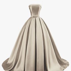 Prom/Quincenera Dress Never Worn