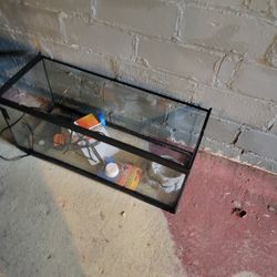 Turtle Tank