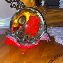 Rose In Globe