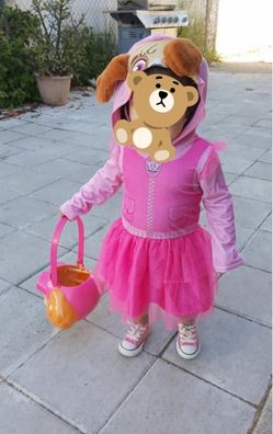 Paw patrol sky costume