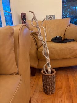 Decorative Driftwood Branch Arrangement with Tree Bark Vase