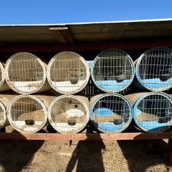 Cages