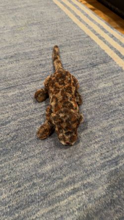 mJELLYCAT PLUSH LIVI THE LEOPARD 12" Soft Plush Rare