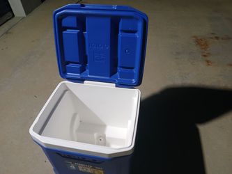Cooler