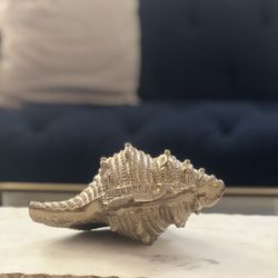 Gold Shell Decoration 
