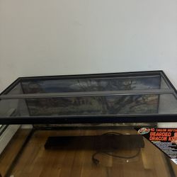 This Is a Lizard  Tank