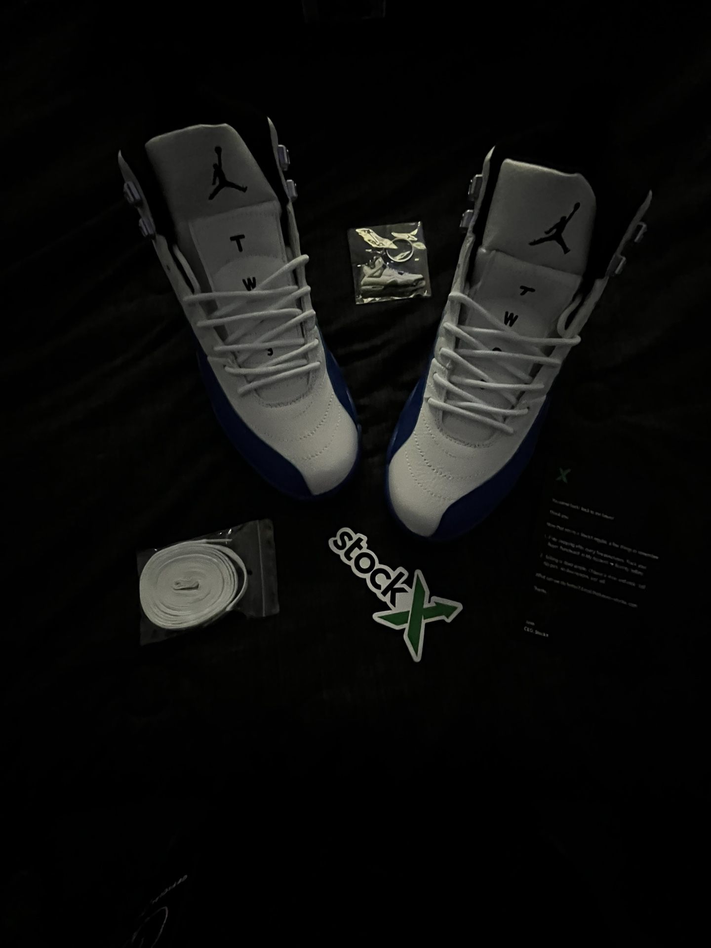 Blueberry Jordan 12s