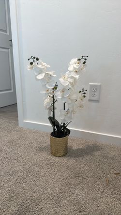 Artificial House Plant