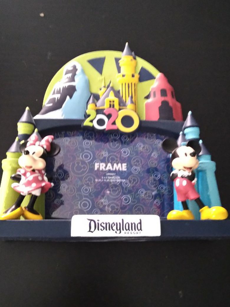 Disneyland "2020" Frame