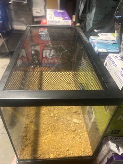 Reptile tank