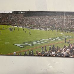 Auburn at It’s Best