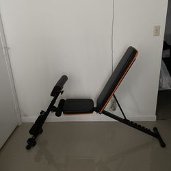 Weight Bench
