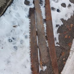 Antique logging saws