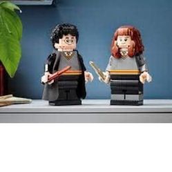  Harry Potter and Hermione Granger Legos