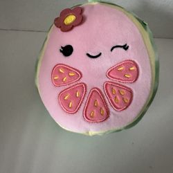 5inch Lena Guava Squishmallow 