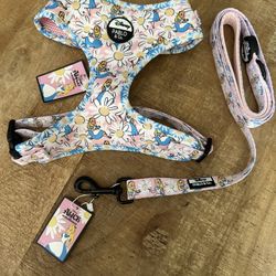 Harness And Leash LARGE