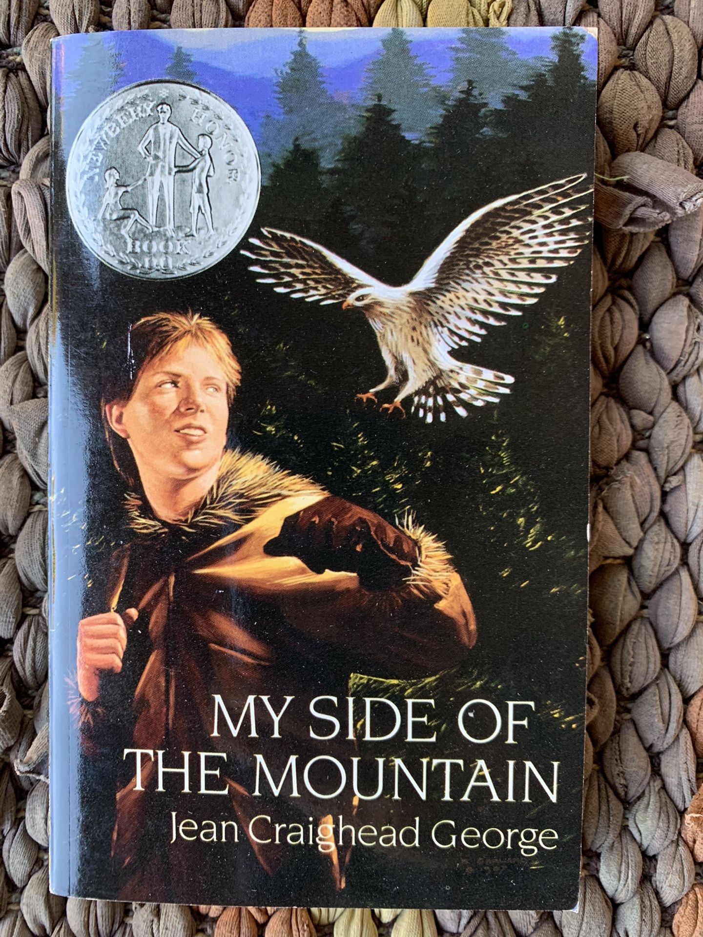 Class Set - My Side of the Mountain by Jean Craighead George