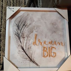 Dream Big Picture