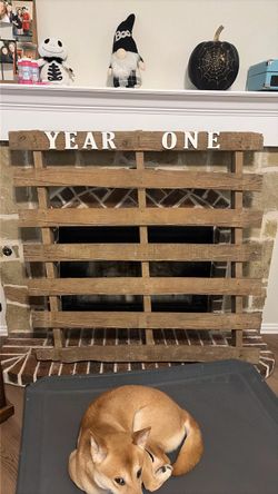 DIY year one picture display