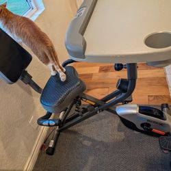 Exerwork Exercise Bike - Used