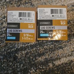 Everbilt Lag Screws 5/16 IN DIA 1 1/2 IN LGTH GALVANIZED