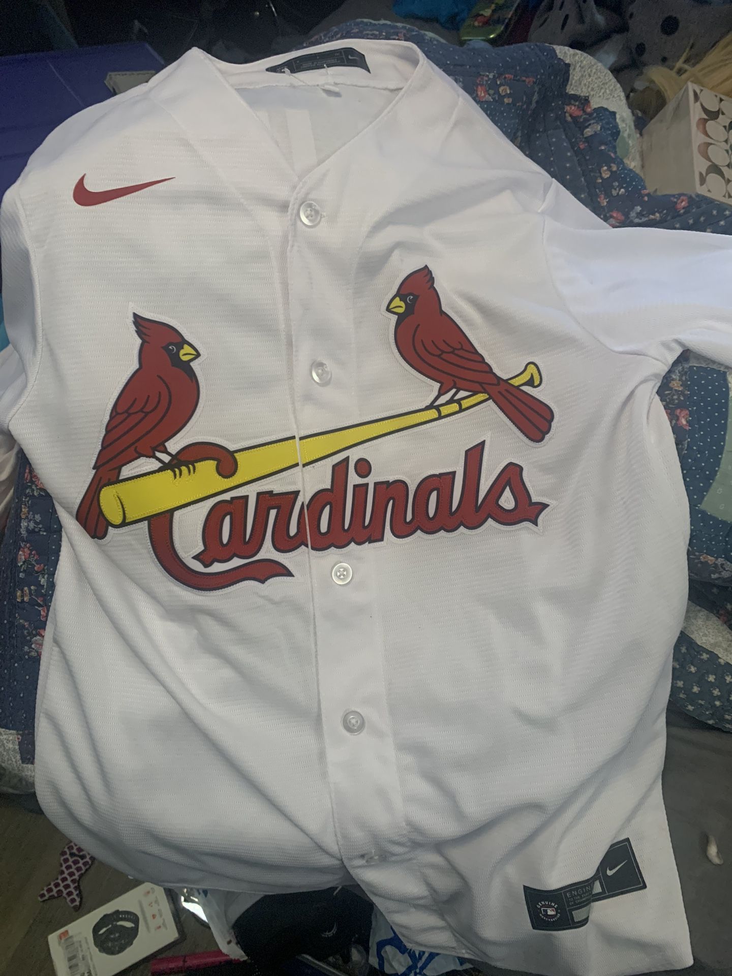 Molina Jersey 