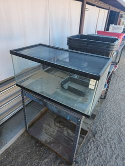 aquariums