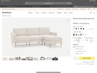 BURROW Sectional Sofa - Cat Scratch Resistant!