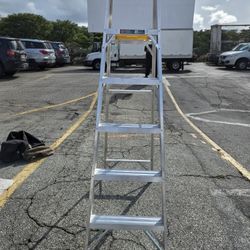 Werner 6ft Ladder