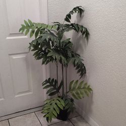 Plastic Plant
