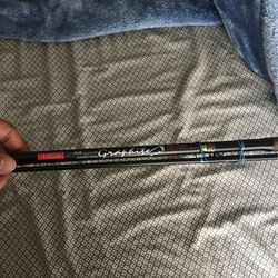 Fish Rod 9ft