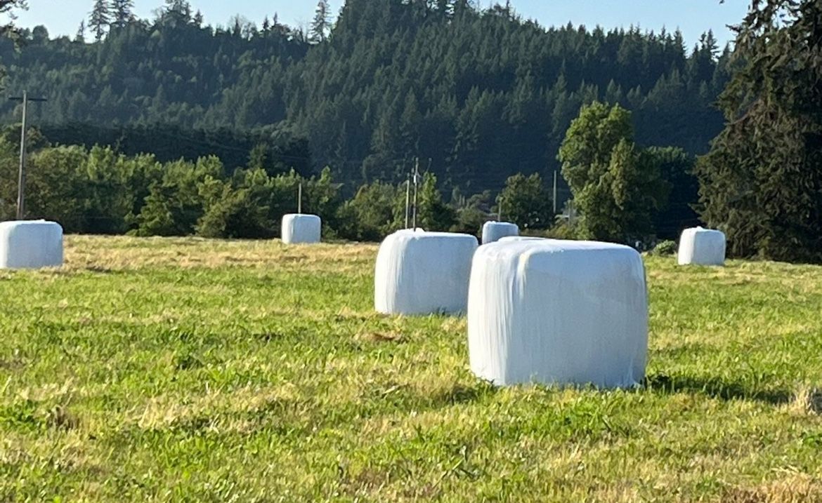 2024 Organic Haylage