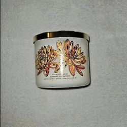 Bath And Body Works 3 Wick Candle 