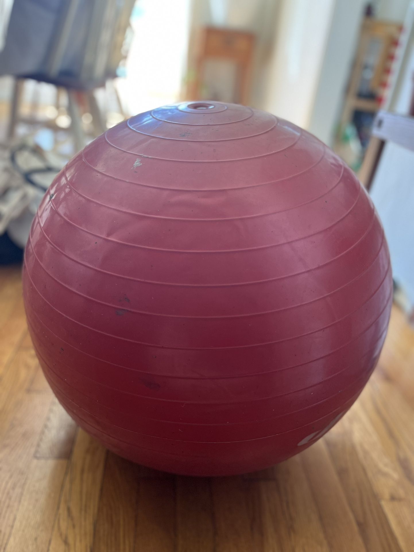 Exercise Ball