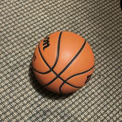 Evolution Basketball 