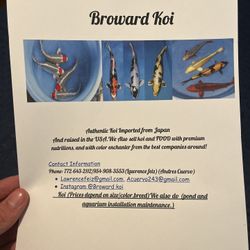 Japanese Imported Koi Food 