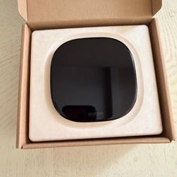 Ecobee Thermostat 